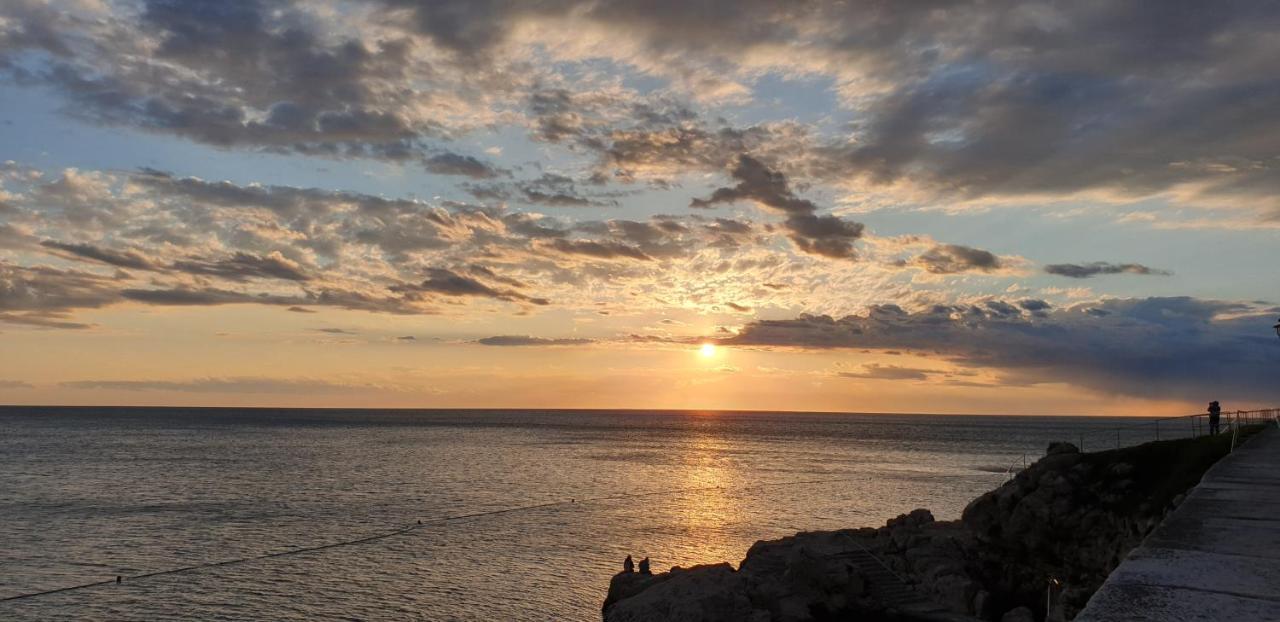 San Cristoforo Accommodations Rovinj - Garzotto エクステリア 写真
