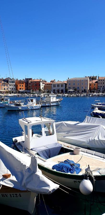 San Cristoforo Accommodations Rovinj - Garzotto エクステリア 写真